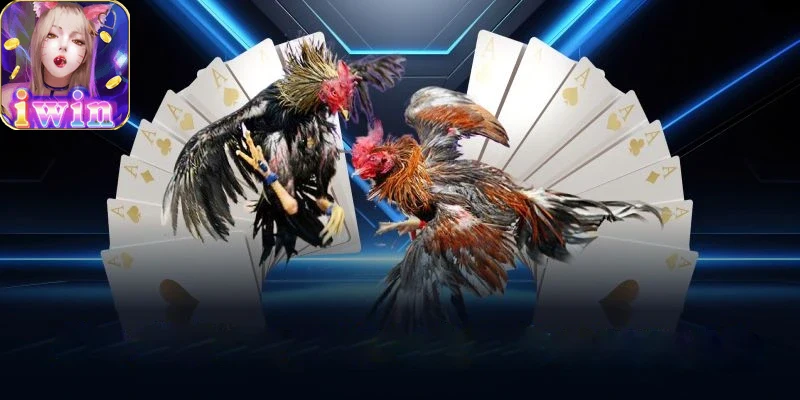 Khuyến mãi đá gà iwin68 hấp dẫn dành cho thành viên mới