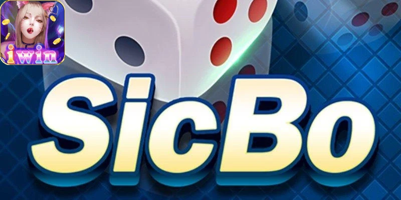 Người chơi trải nghiệm sicbo iwin68 trên điện thoại