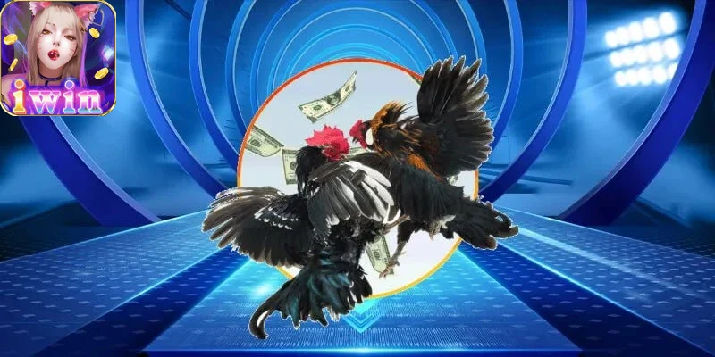 Trải nghiệm người chơi đá gà iwin68 tại nhà